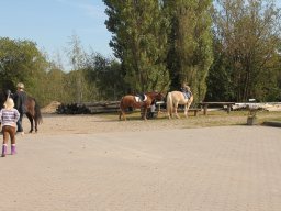 img_7395_web